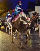 Joseph’s Amazing Camels Photo 8