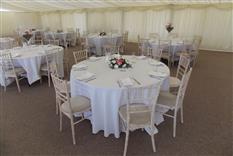Coloured Linen Hire Ltd Photo 5