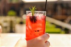 Croquet And Cocktails Photo 6