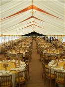 Strawberry Marquees Photo 8