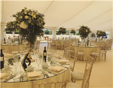 Strawberry Marquees Photo 6
