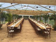 Strawberry Marquees Photo 3