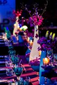 No Ulterior Motive Events Photo 3