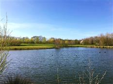 Alexander Park Resort Photo 6